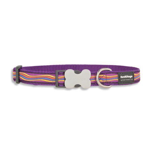Red Dingo Dreamstream Purple Bucklebone Dog Collar