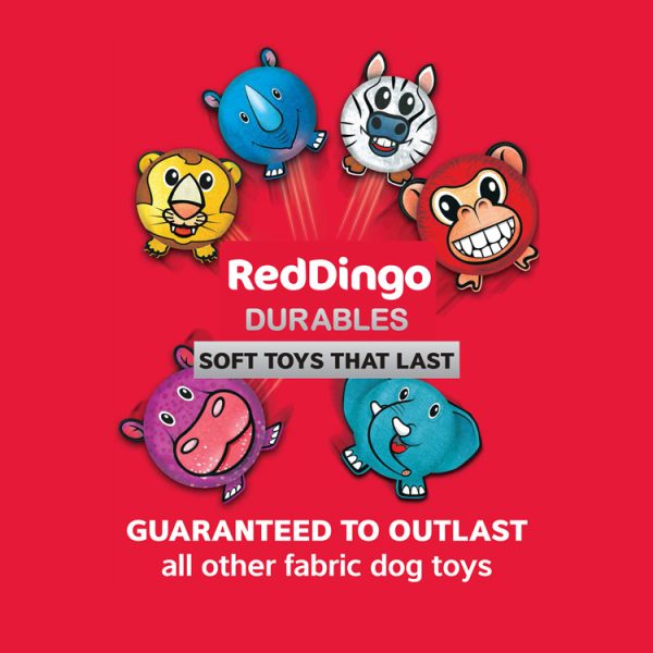 Red Dingo DURABLES Ball Toys Low Res Poster