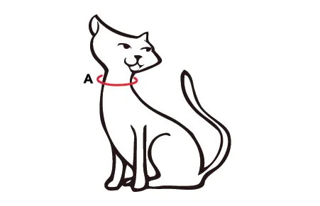 Size Guide Red Dingo Cat Collars