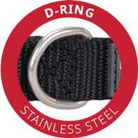 Stainless Steel D-ring